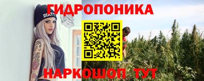 скорость Будённовск