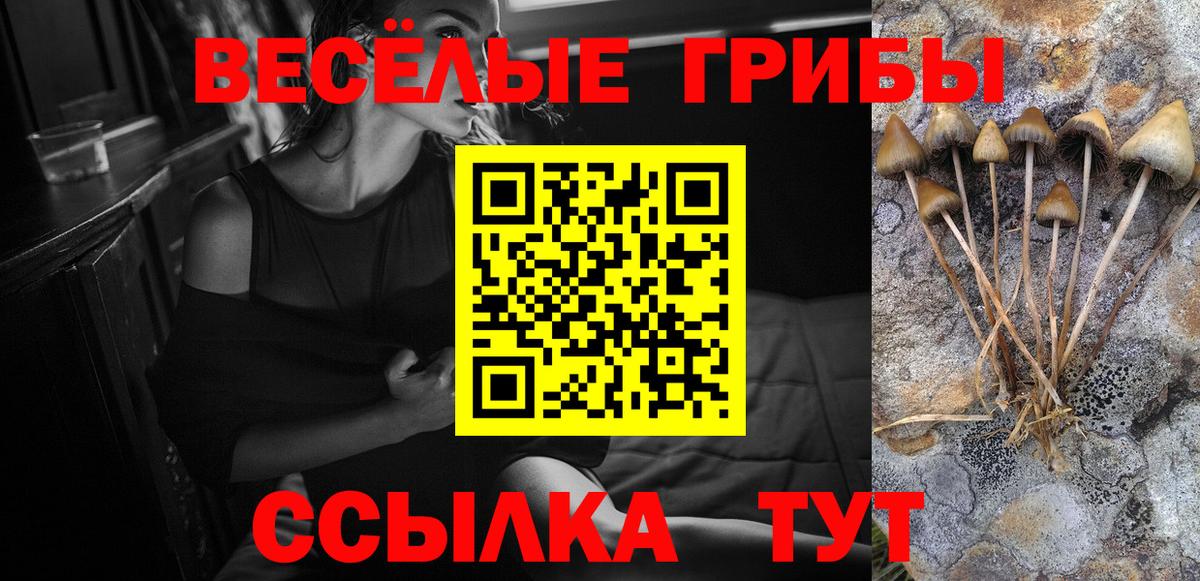 Псилоцибиновые грибы Cubensis Урус-Мартан