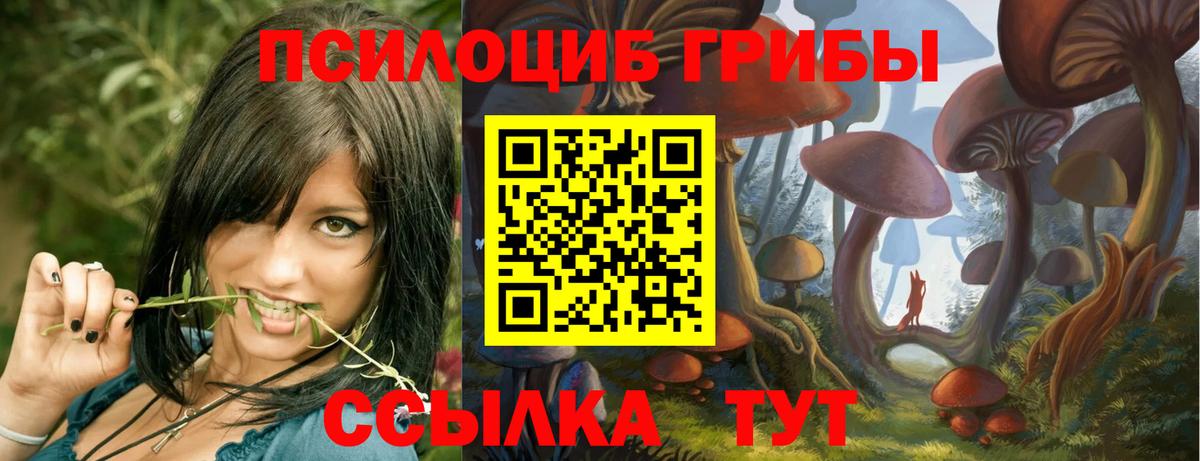 Галлюциногенные грибы MAGIC MUSHROOMS  Вход с VPN  Урус-Мартан 
